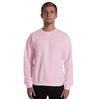 Sweat à Col Rond Homme brodé Jamais sans mon Poney